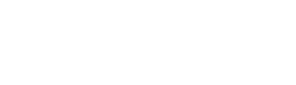 DX Global Cars